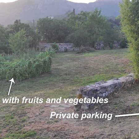 Villa Grecia Liapades Eksteriør bilde